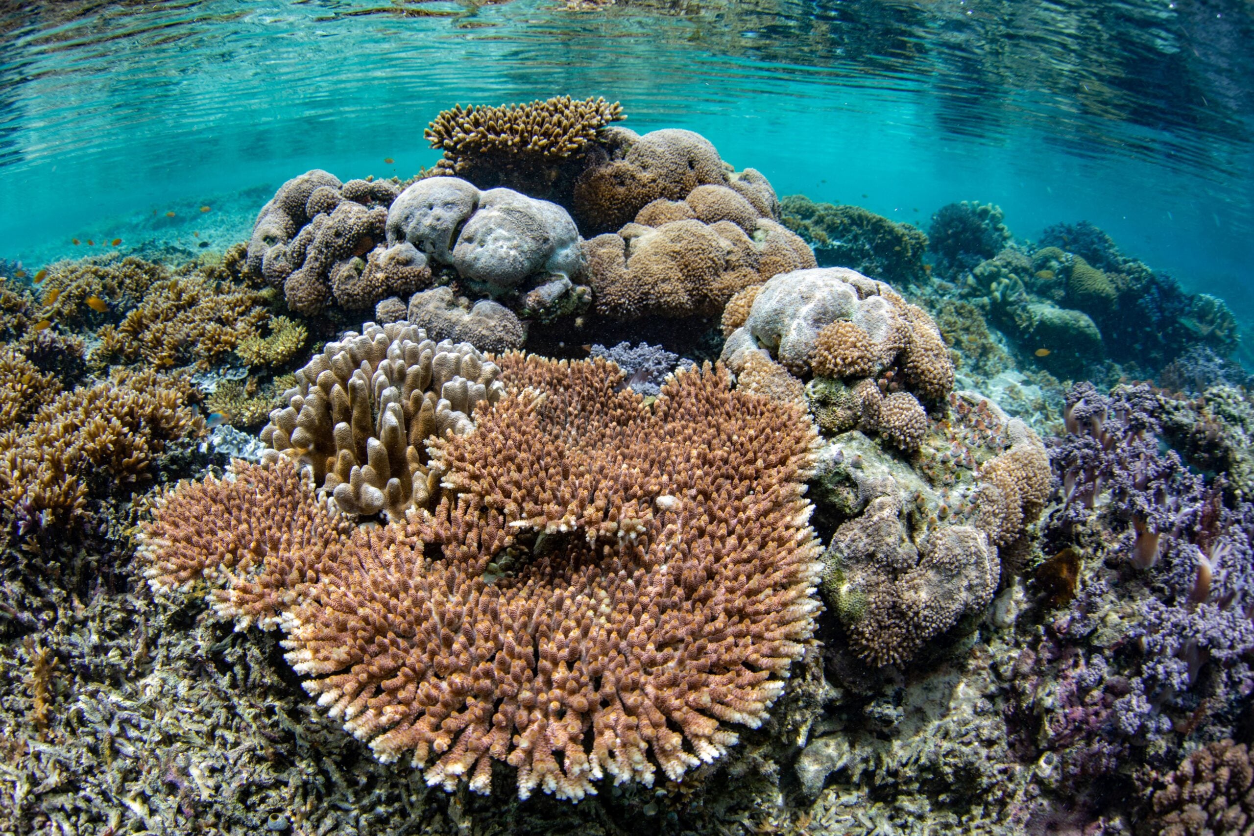 DarkRoomTreasures 10