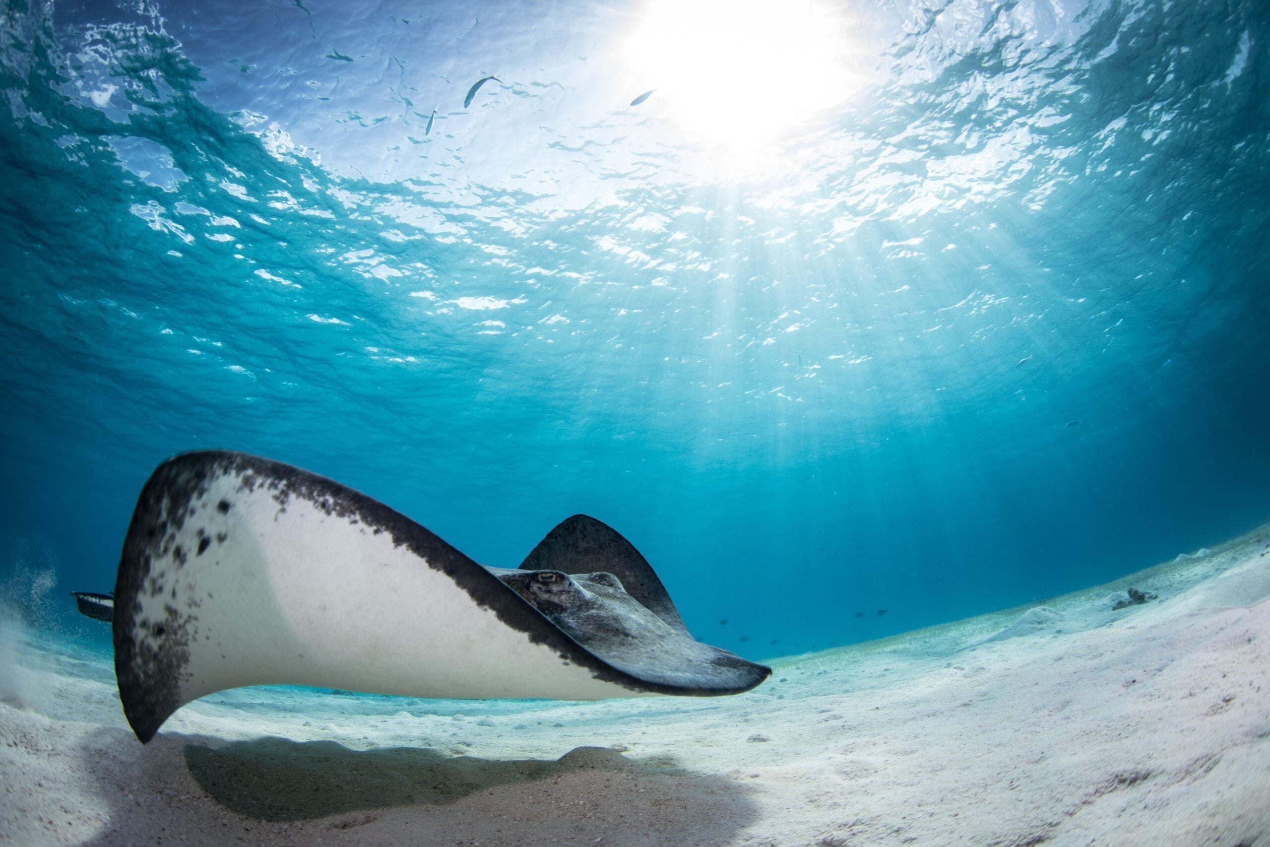 DarkRoomTreasures 11