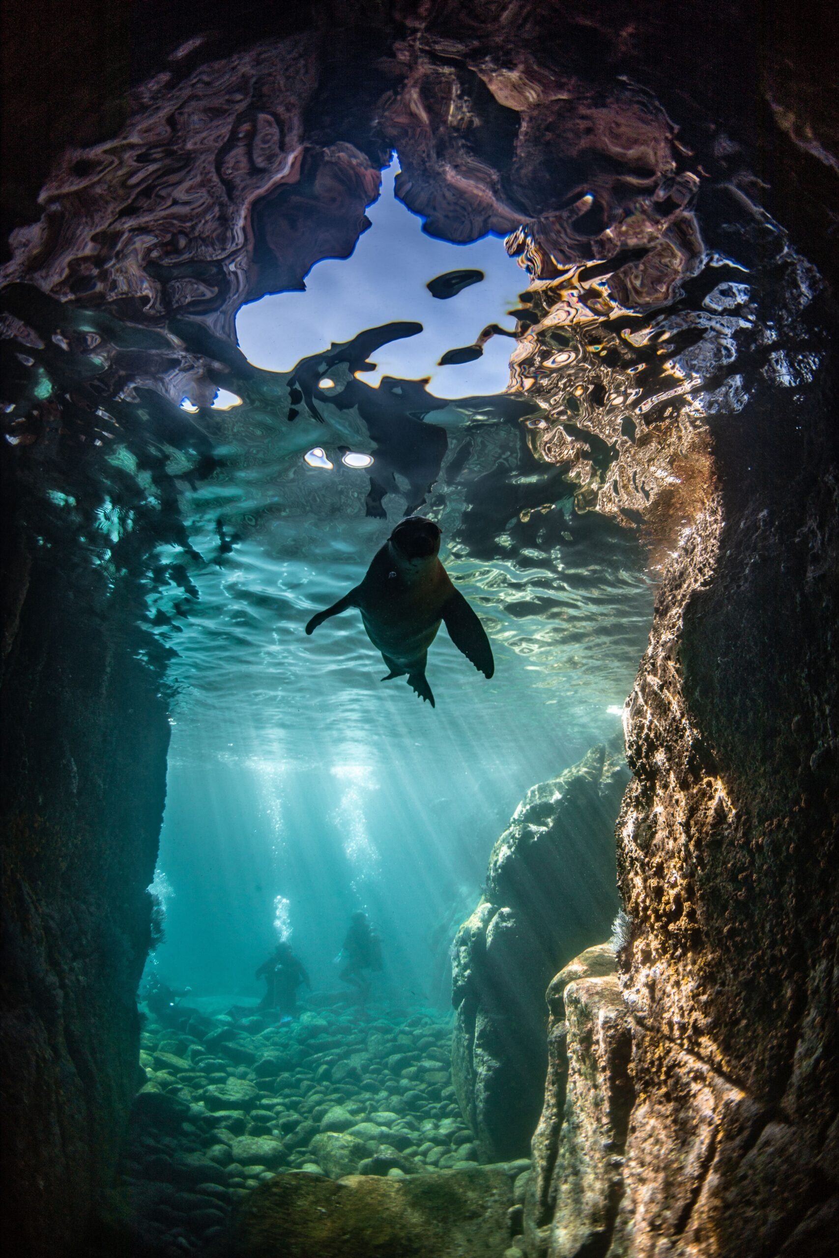 DarkRoomTreasures 13