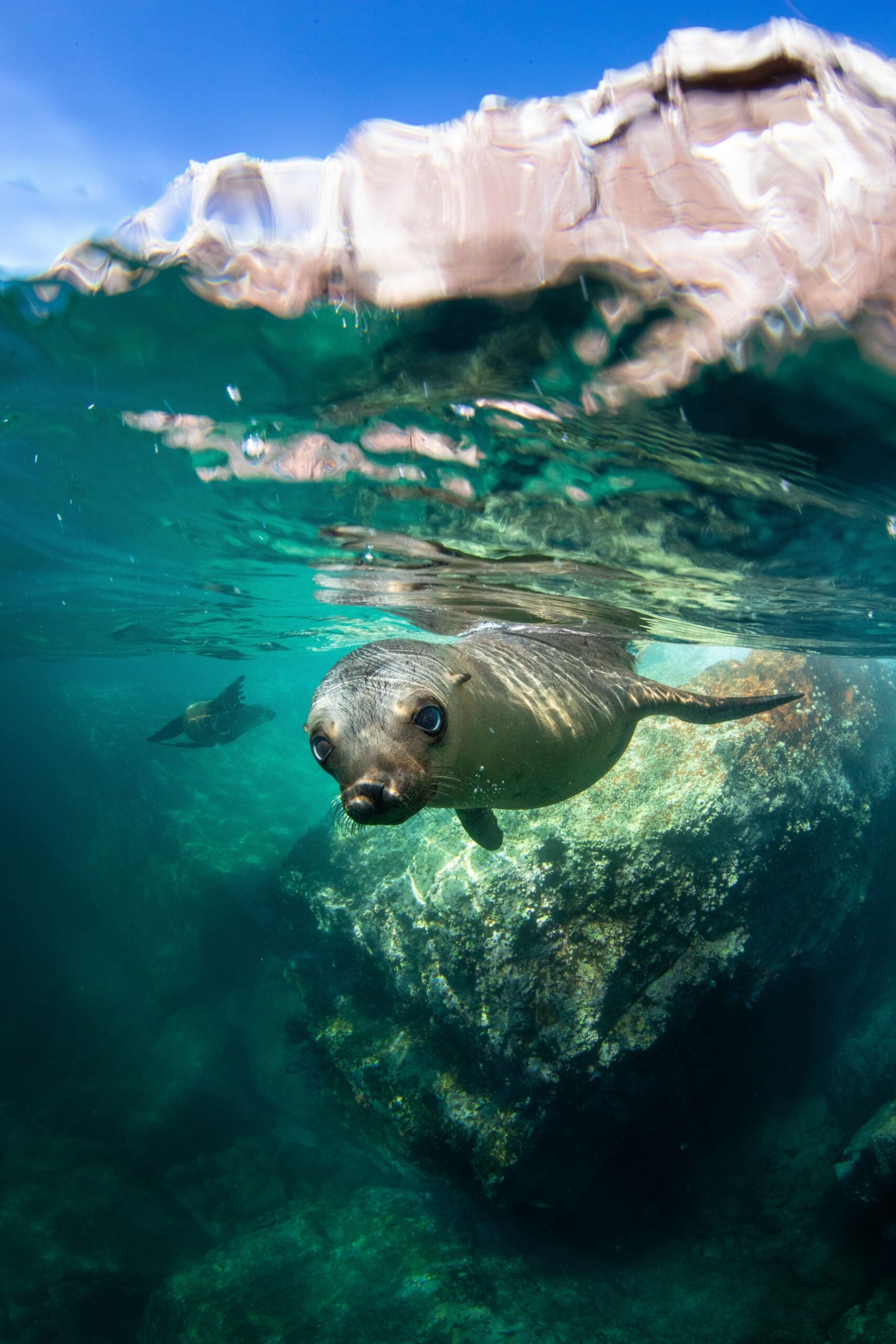 DarkRoomTreasures 14